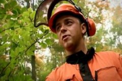 STIHL 50  IMAGEN FOTOGRAFIA